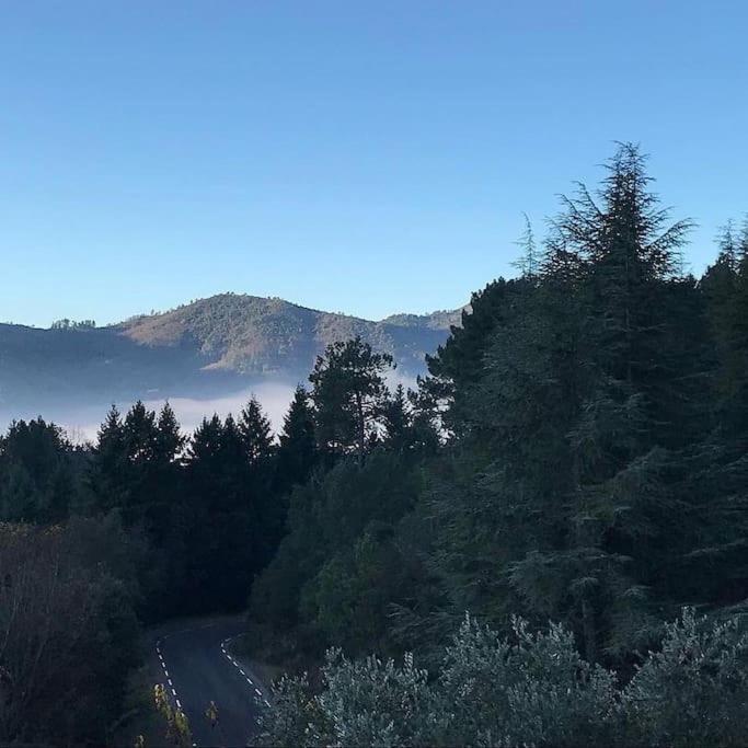 Gite Des 3 Vallees - Le Soleil Des Cevennes Διαμέρισμα Saint-Jean-du-Gard Εξωτερικό φωτογραφία