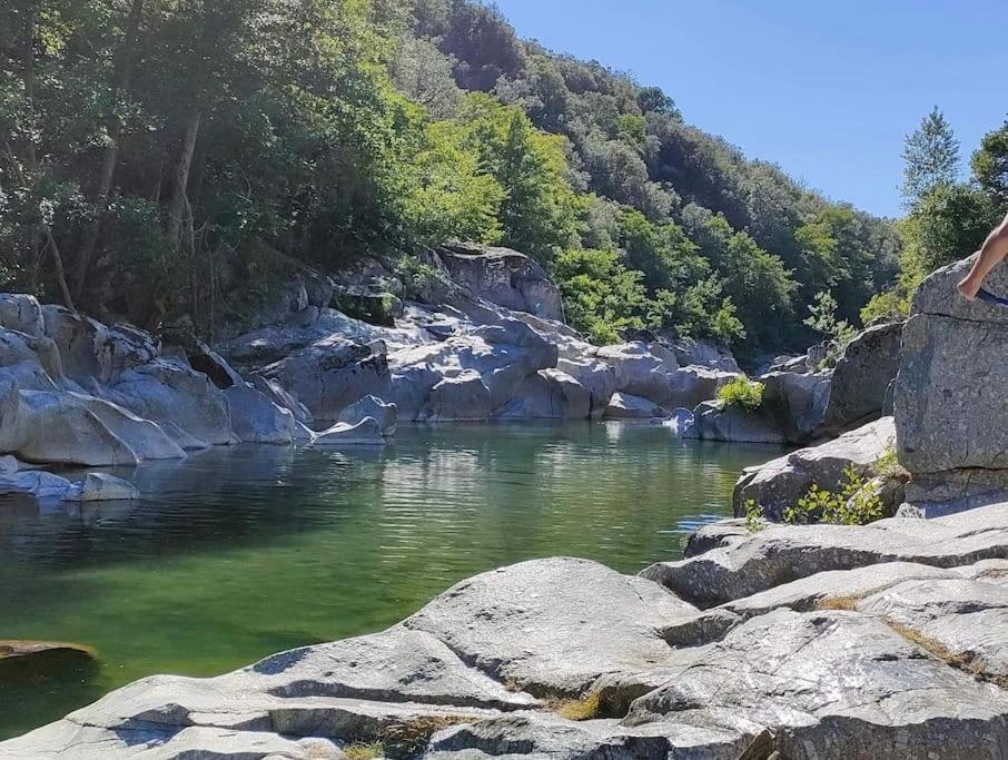 Gite Des 3 Vallees - Le Soleil Des Cevennes Διαμέρισμα Saint-Jean-du-Gard Εξωτερικό φωτογραφία