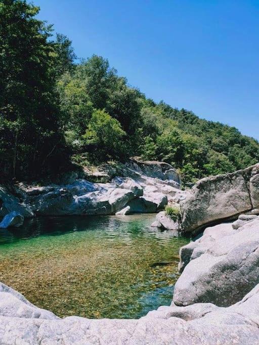 Gite Des 3 Vallees - Le Soleil Des Cevennes Διαμέρισμα Saint-Jean-du-Gard Εξωτερικό φωτογραφία