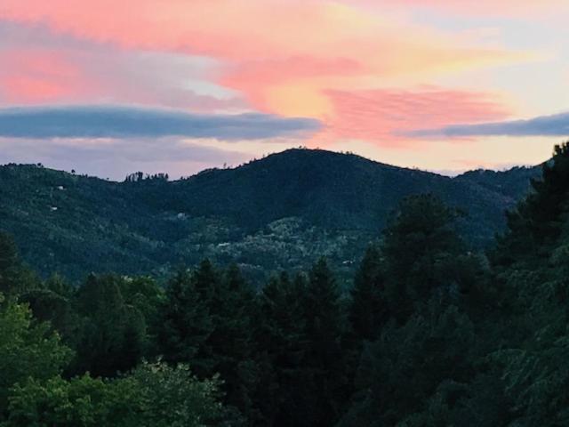 Gite Des 3 Vallees - Le Soleil Des Cevennes Διαμέρισμα Saint-Jean-du-Gard Εξωτερικό φωτογραφία