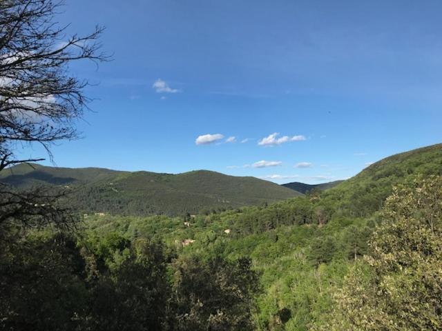 Gite Des 3 Vallees - Le Soleil Des Cevennes Διαμέρισμα Saint-Jean-du-Gard Εξωτερικό φωτογραφία